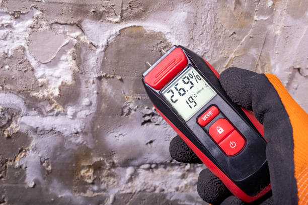 Best Industrial Mold Remediation in Luray, VA