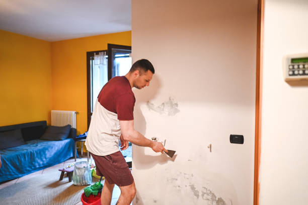 Best Post-Flood Mold Remediation in Luray, VA